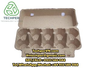 khay giấy đựng trứng