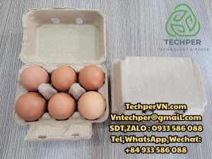 khay giấy đựng trứng
